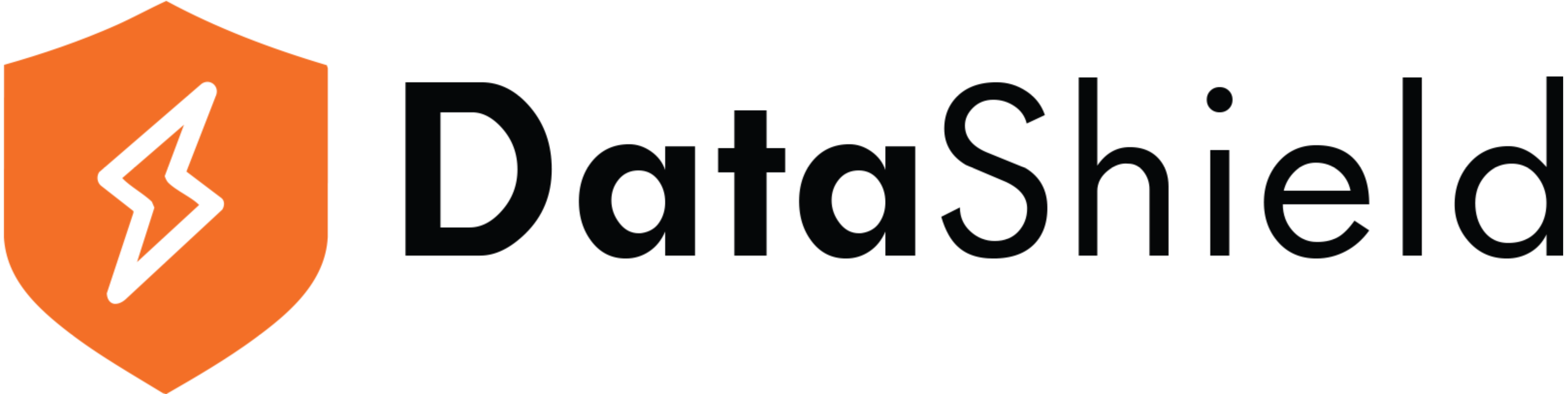 DataShield logo